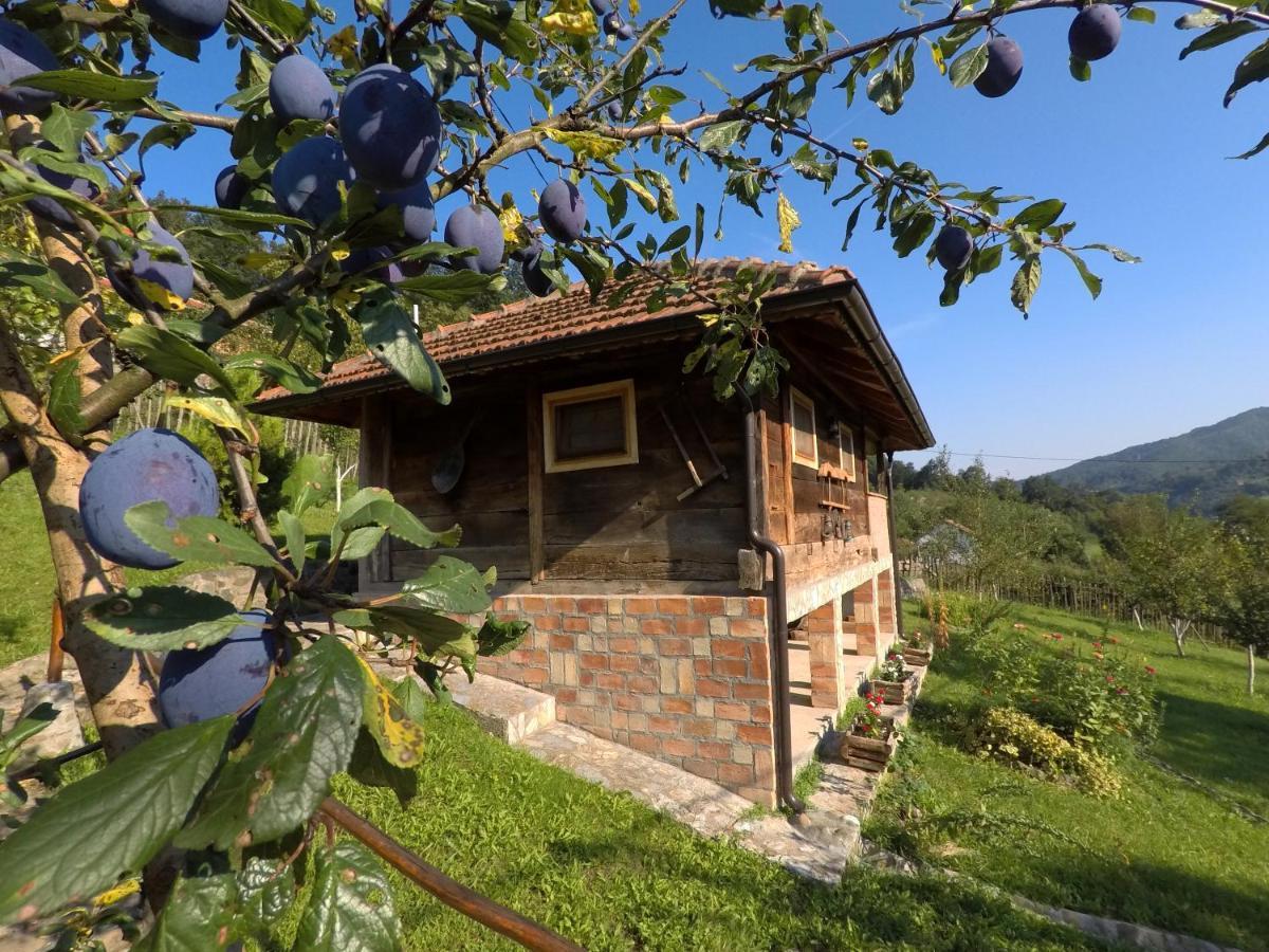 Ethno Village Bogut Bogutovac Exteriér fotografie