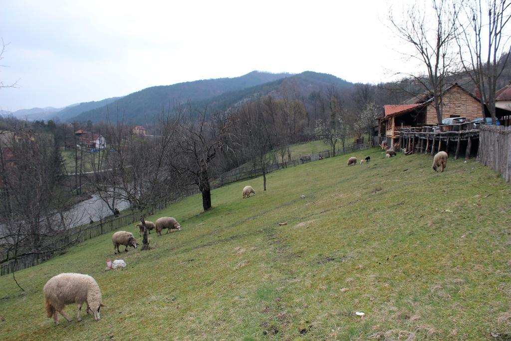 Ethno Village Bogut Bogutovac Exteriér fotografie